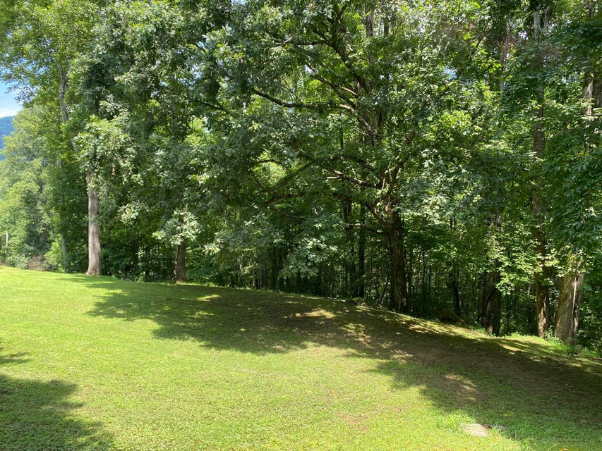 Photo #33: 3442 East Stone Gap Road