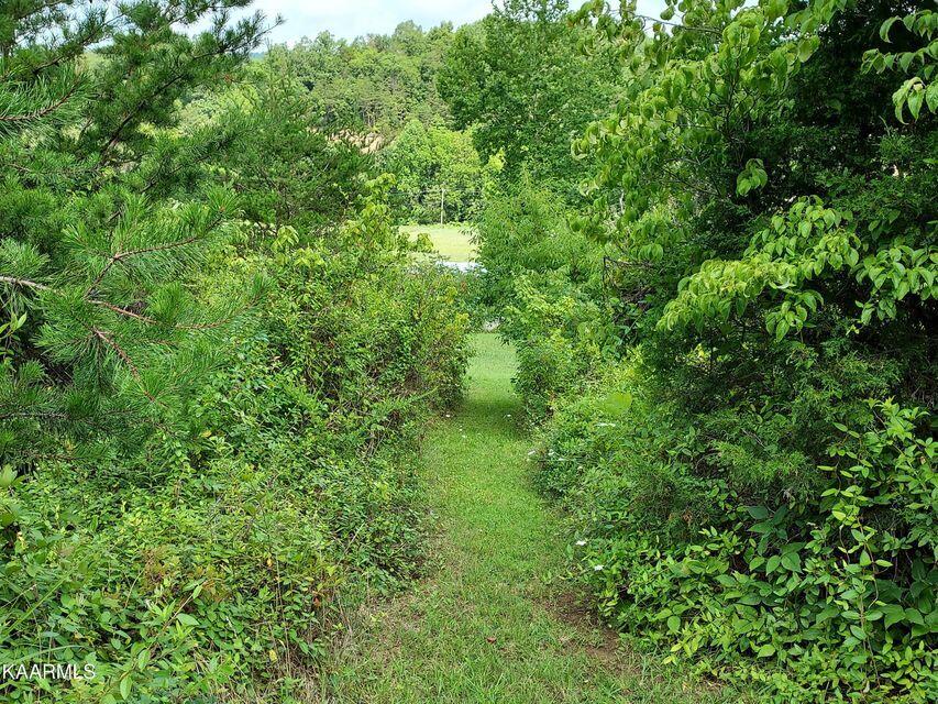 Photo #5: 1893 Back Valley Road