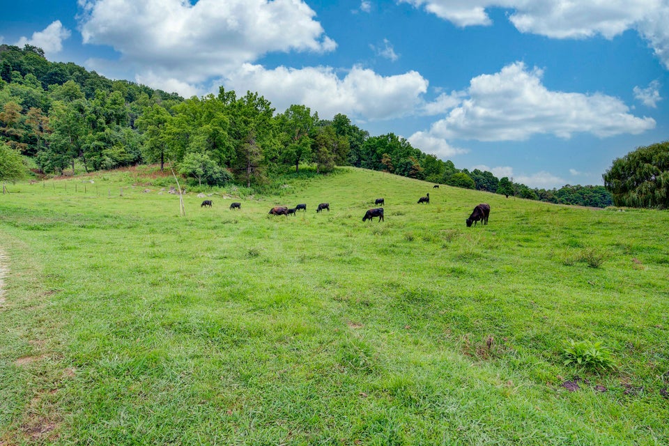 Photo #12: 366 Webber Road