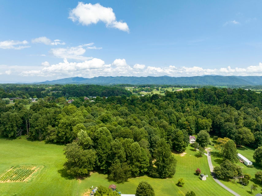 Photo #11: Tbd Hallborough Drive