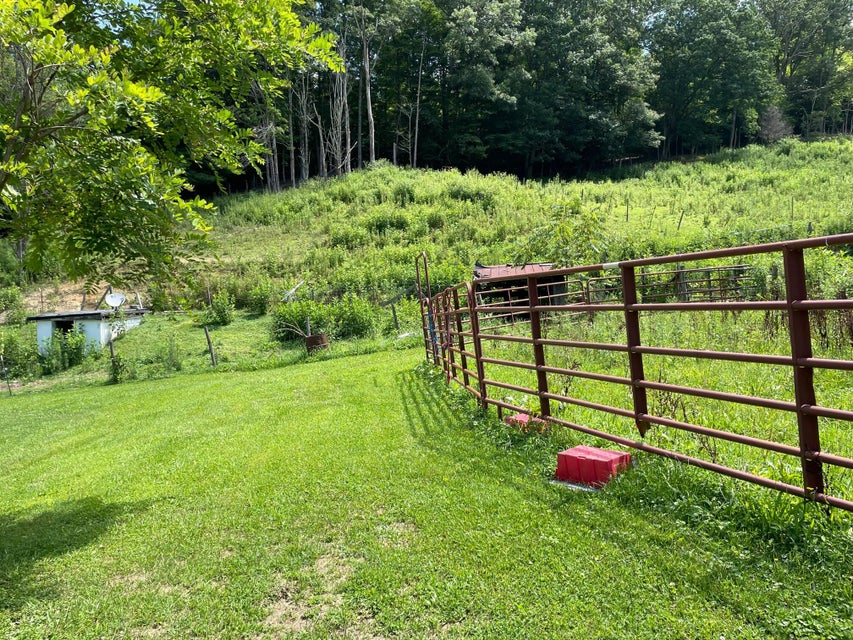 Photo #5: 17193 Buffalo Pond Road