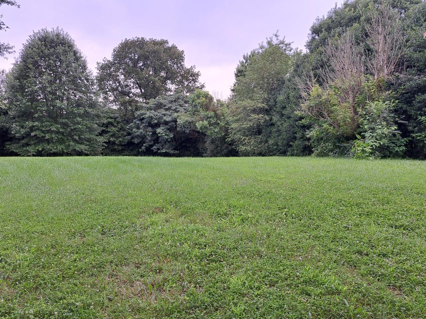 Photo #3: 307 Scenic Oak Drive