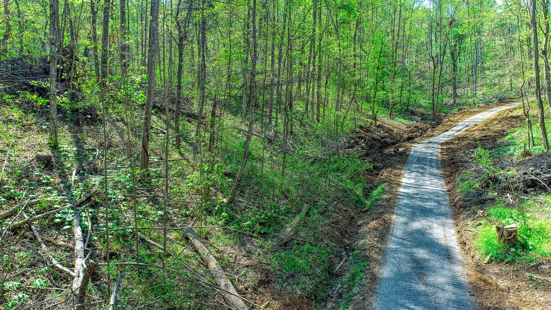 Photo #6: Tbd Highway 70