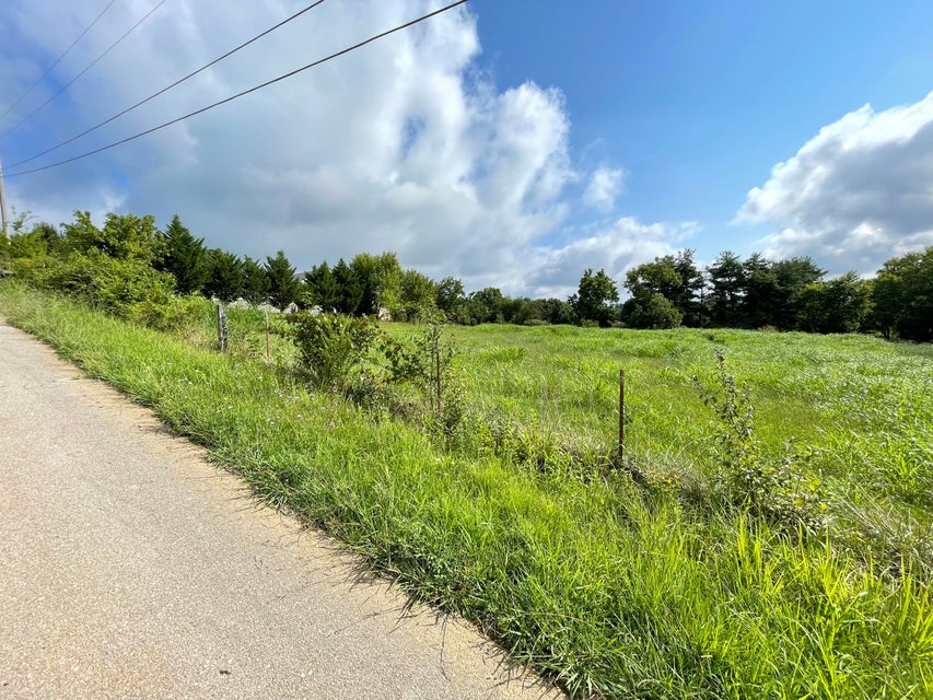 Photo #3: Tbd Pelican Lane