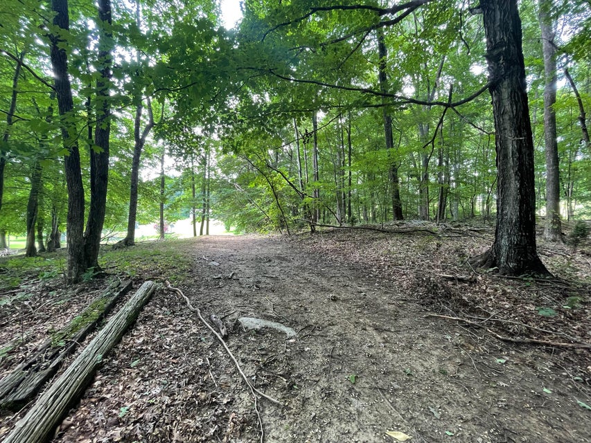 Photo #6: Tbd Hallborough Drive