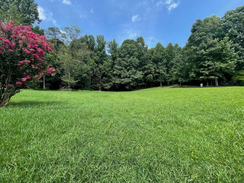 Photo #4: Tbd Hallborough Drive