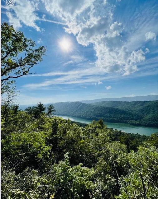 Photo #9: 0 Lakeview Drive