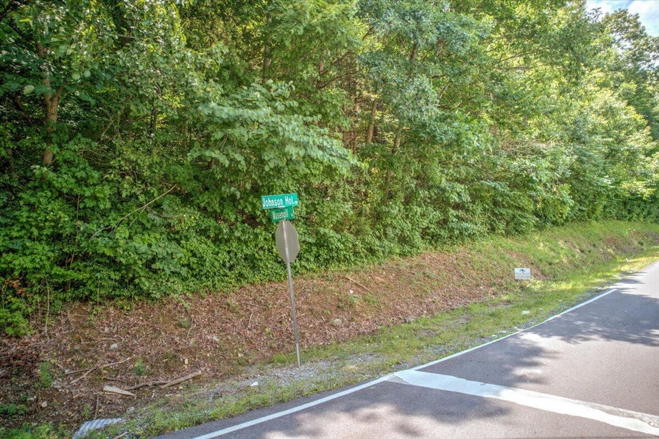 Photo #3: 0 Masengill Road