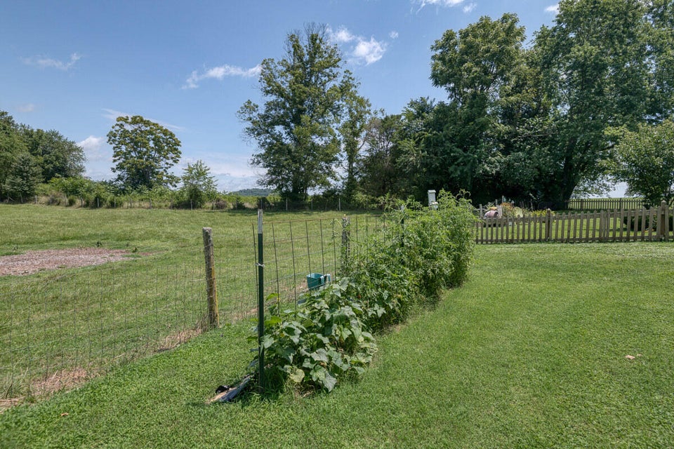 Photo #51: 585 Meadowbrook Road