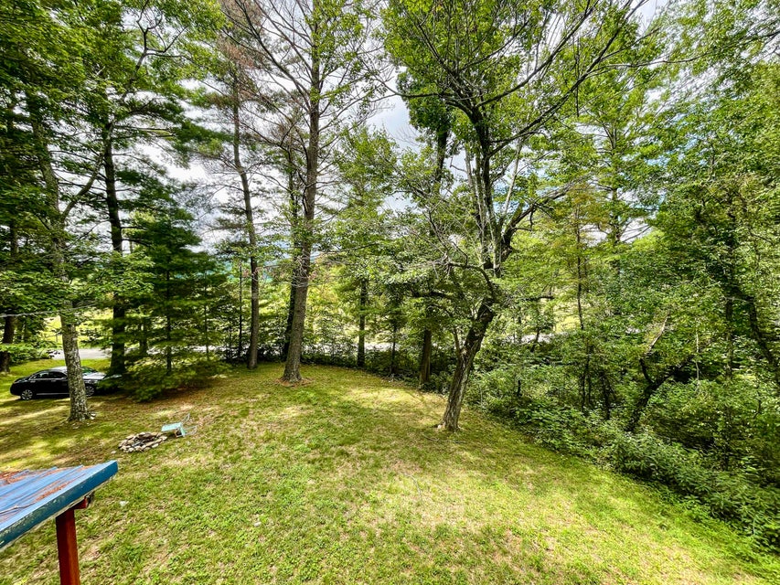 Photo #32: 2244 Camp Road
