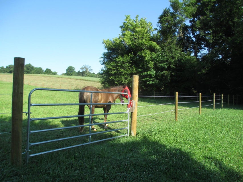 Photo #72: 109 Clear Springs Road