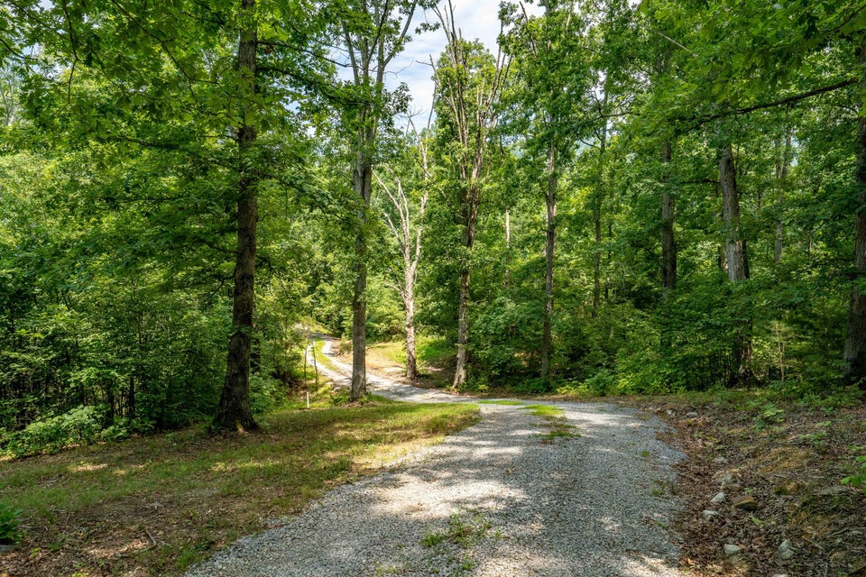 Photo #50: 700 Nelse Roberts Rd