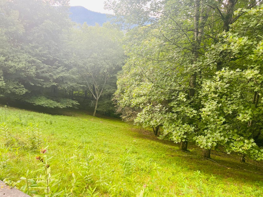 Photo #87: 2401 Egan Road