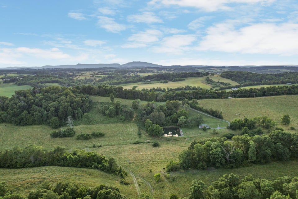 Photo #31: 242 Mitchell Ridge Road