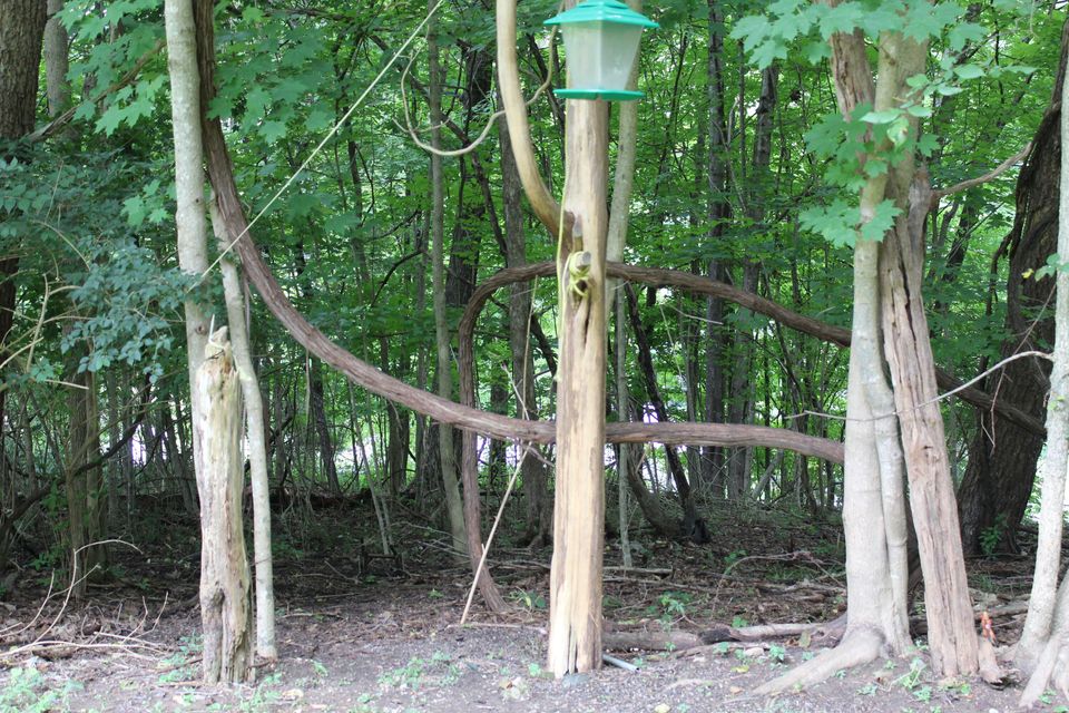 Photo #4: 260 Grove Park Drive