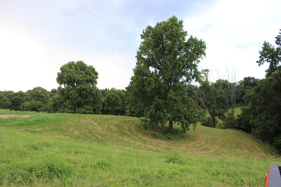 Photo #6: Lot 4 Ducktown Road