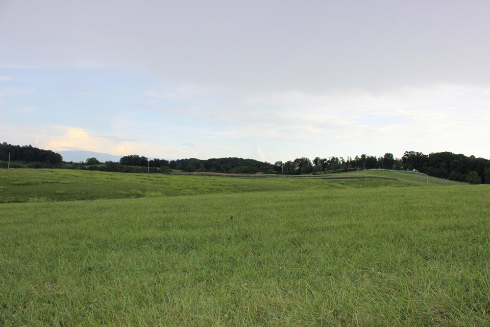 Photo #16: Lot 4 Ducktown Road