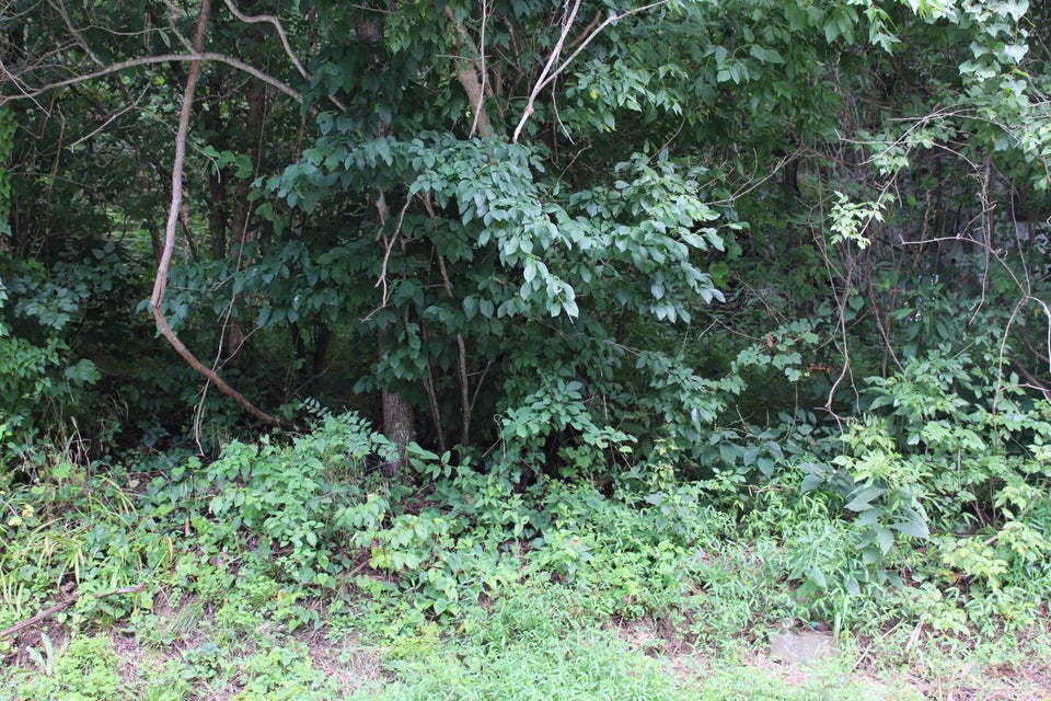 Photo #2: Tbd Shankel Mill Road