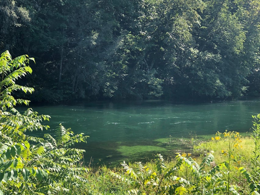 Photo #35: 288 Old Weaver Pike Road