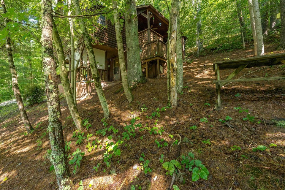 Photo #17: 115 Pioneer Ridge Lane