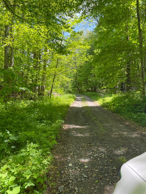Photo #2: 451 Modock Road
