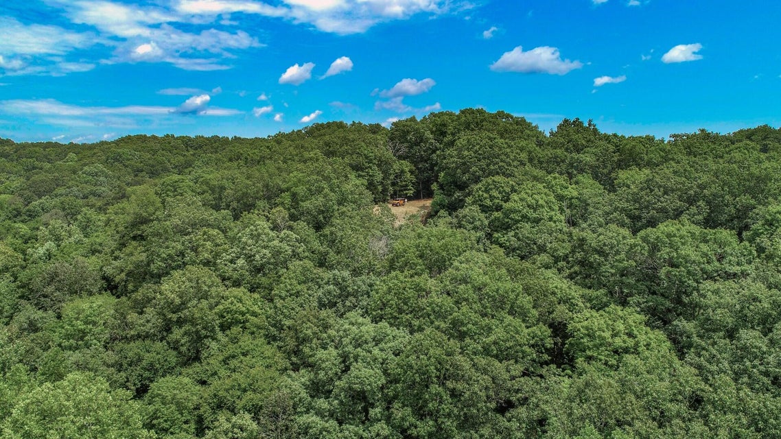 Photo #3: 191 Thurman Road