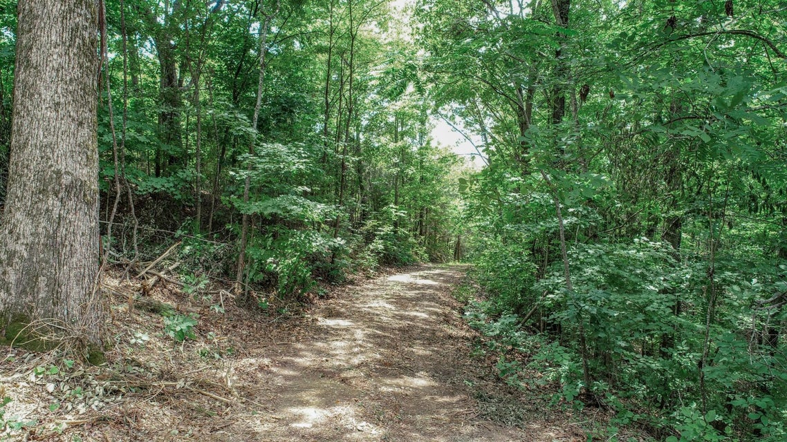 Photo #18: 191 Thurman Road