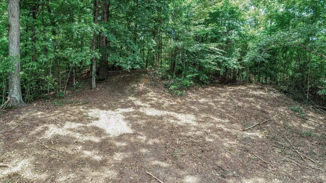 Photo #22: 191 Thurman Road