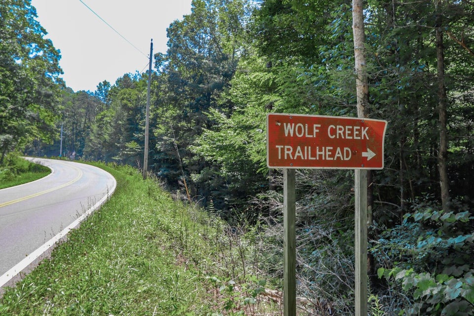 Photo #2: 5 Ac Wolf Creek Road