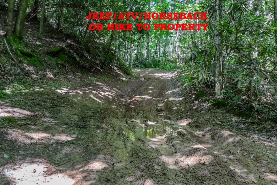 Photo #6: 5 Ac Wolf Creek Road