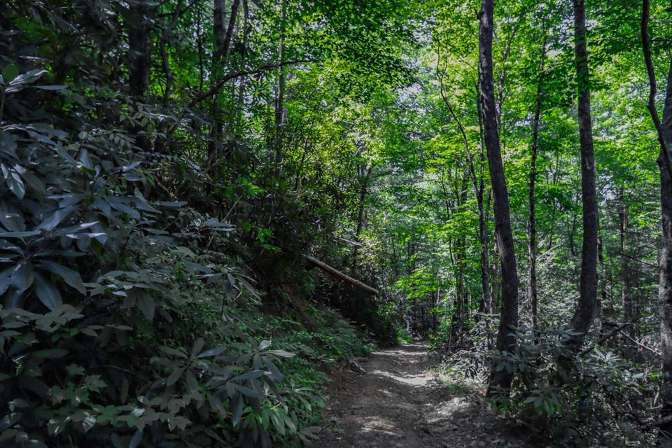 Photo #9: 5 Ac Wolf Creek Road