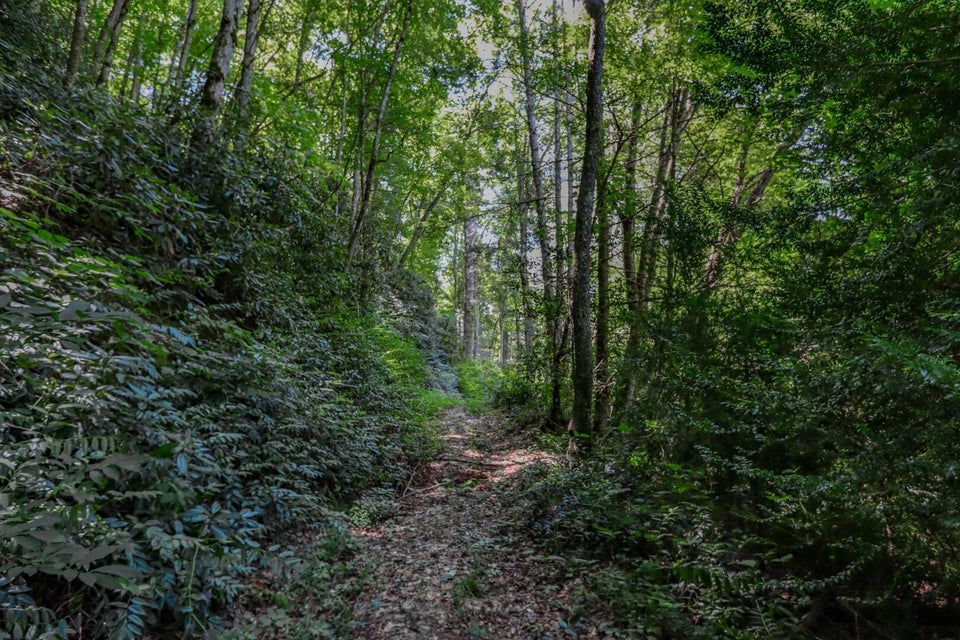 Photo #14: 5 Ac Wolf Creek Road