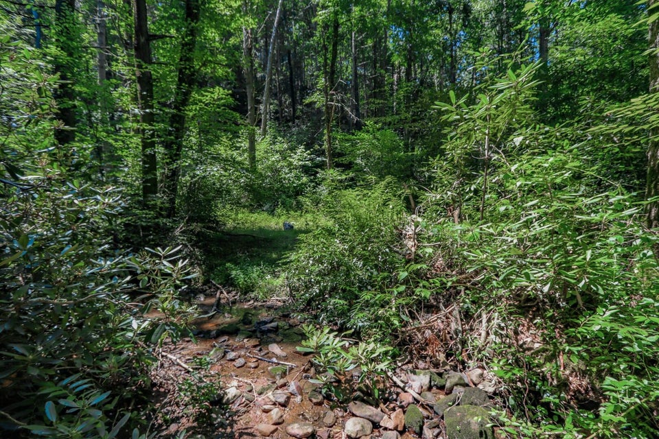 Photo #19: 5 Ac Wolf Creek Road