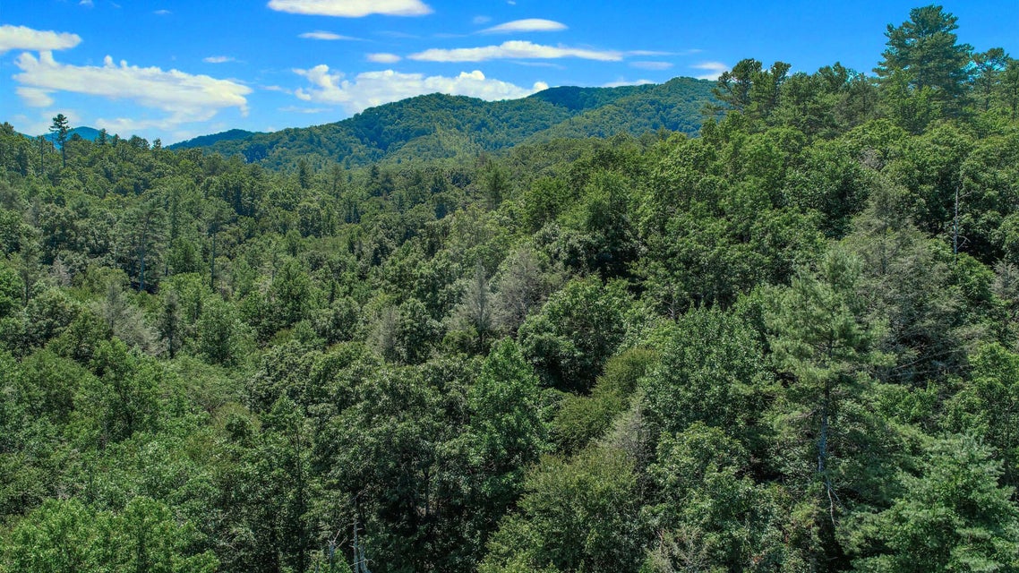 Photo #40: 5 Ac Wolf Creek Road