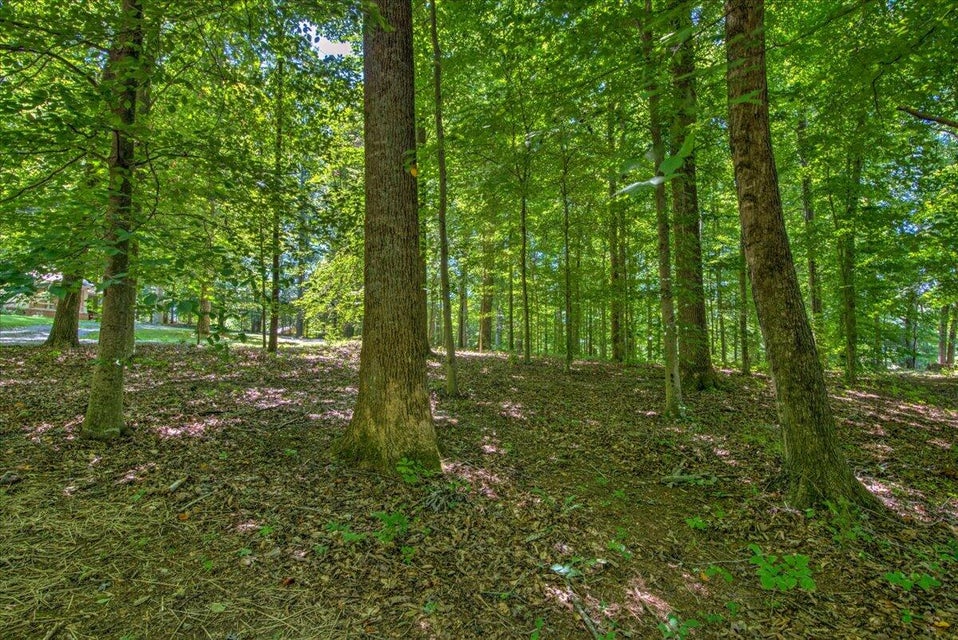 Photo #38: 355 Holston Drive