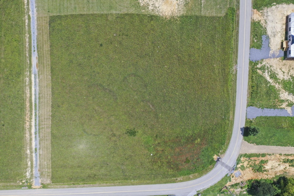 Photo #29: 10 & 11 Sunnydale Road