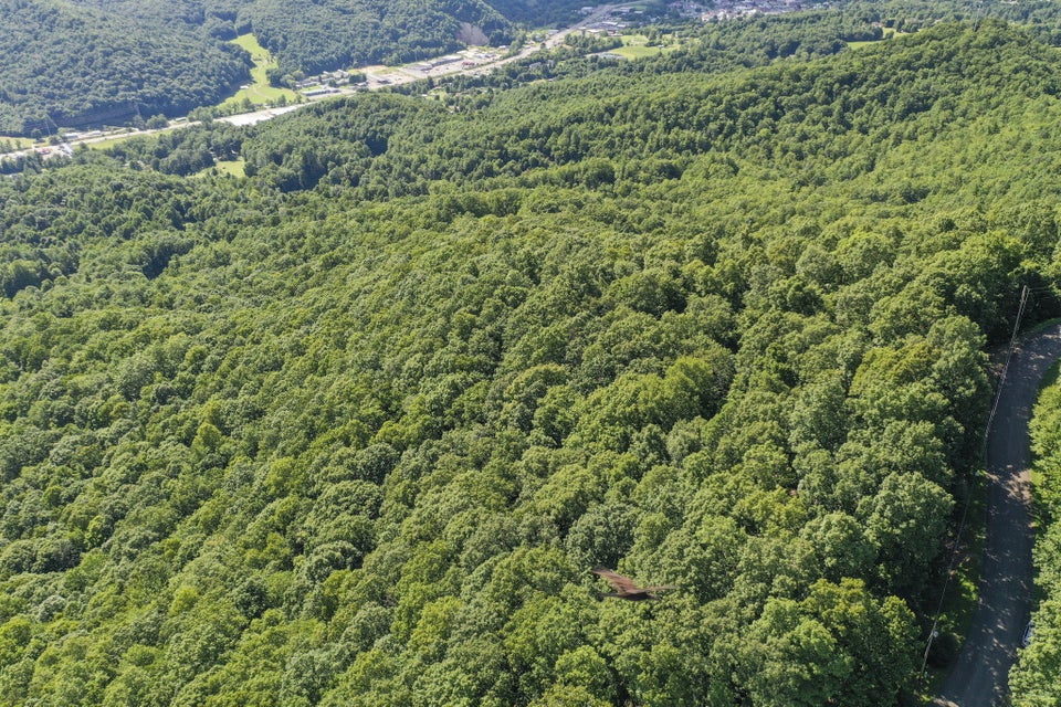 Photo #14: 00 Iroquois Road