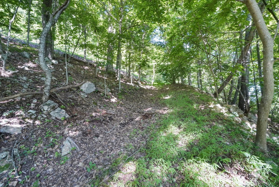 Photo #2: 00 Iroquois Road