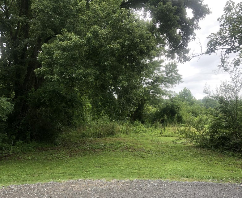 Photo #2: Tbd Hamblen Street