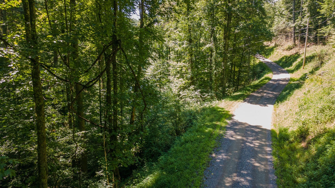 Photo #10: Tbd Mountain Wynd Drive