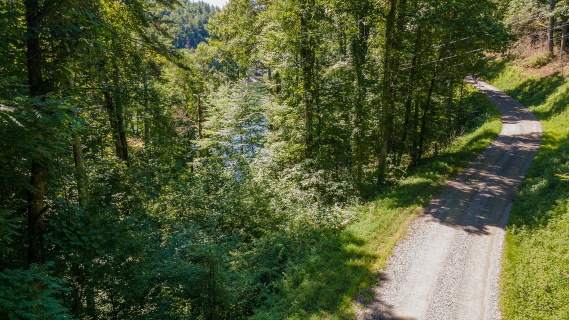 Photo #11: Tbd Mountain Wynd Drive