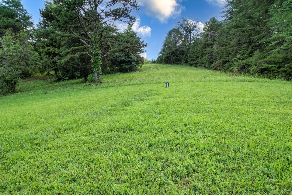 Photo #41: 3812 Long Creek Road