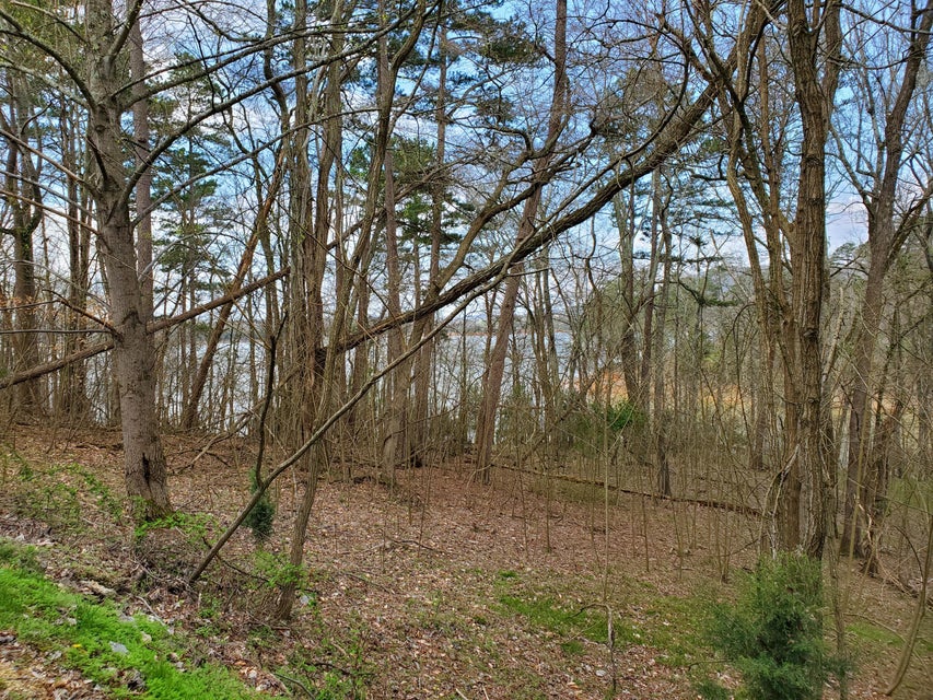 Photo #5: 408 Chelaque Way