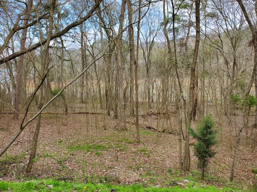 Photo #8: 408 Chelaque Way