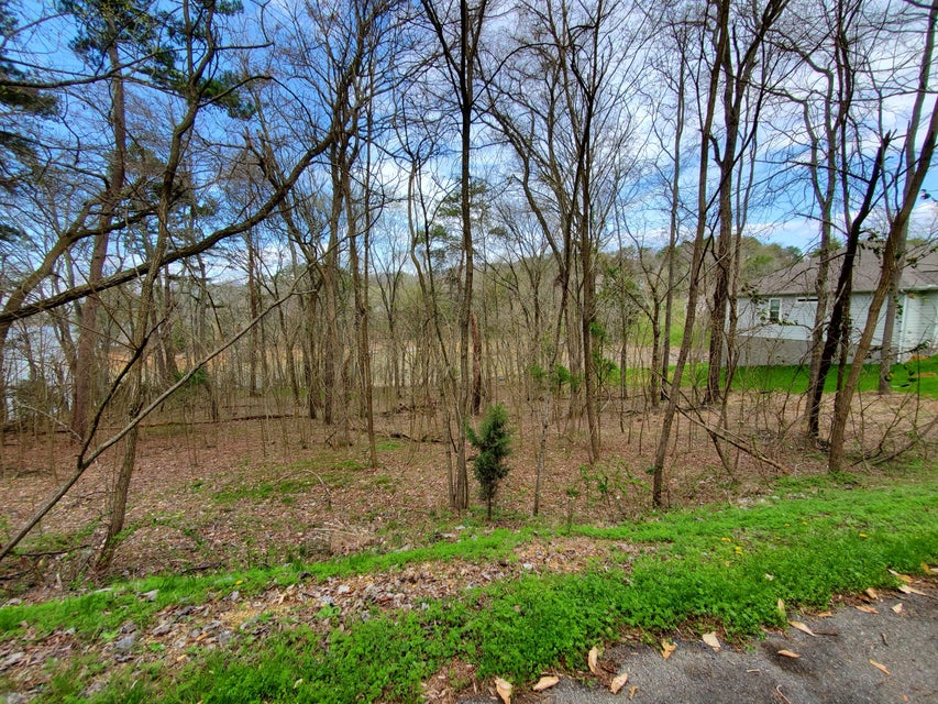 Photo #10: 408 Chelaque Way