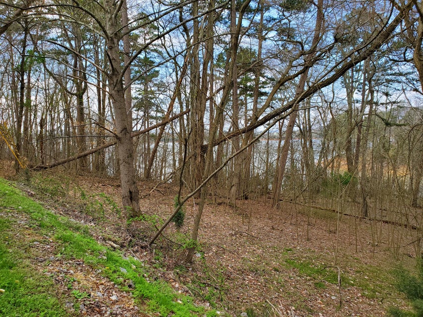 Photo #16: 408 Chelaque Way
