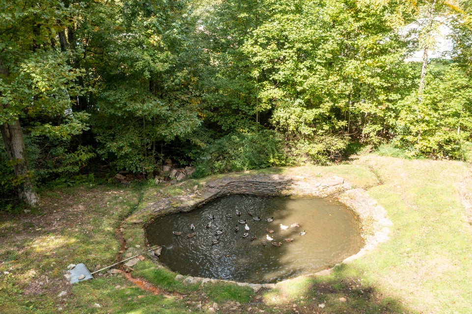 Photo #19: 1378 Rock Creek Road