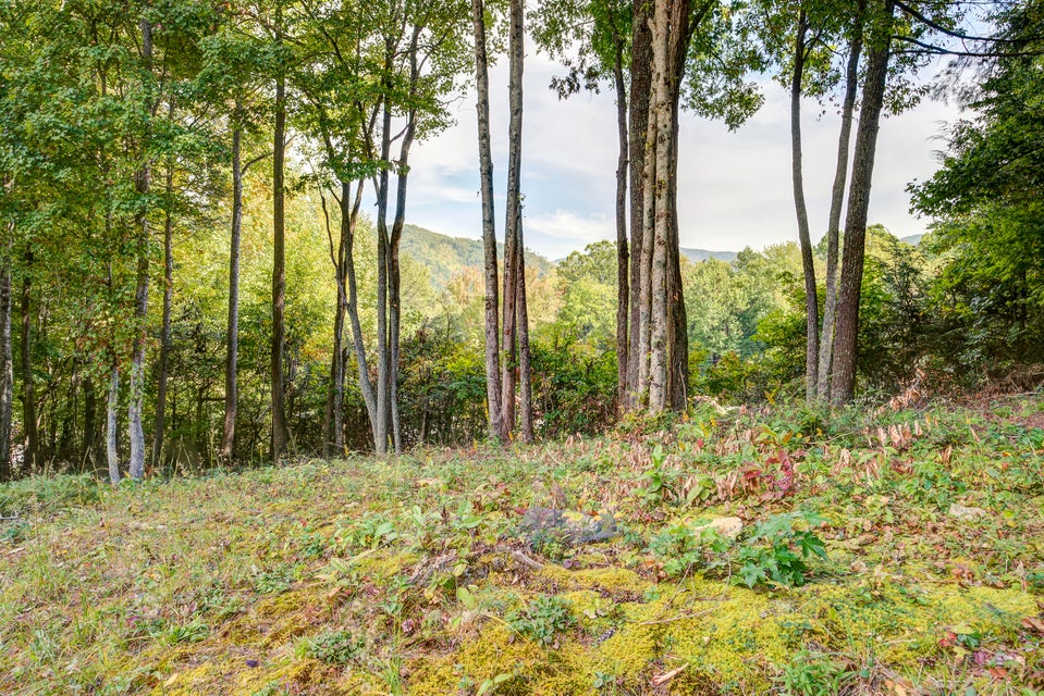 Photo #64: 1378 Rock Creek Road