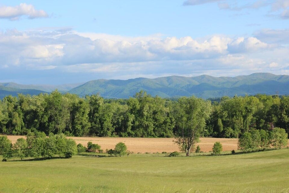 Photo #8: 30232 Lee Highway