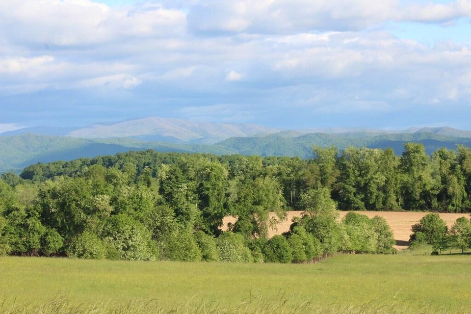 Photo #10: 30232 Lee Highway